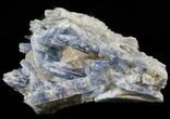 Bladed Kyanite Crystal Cluster with Quartz - Brazil #45007-1